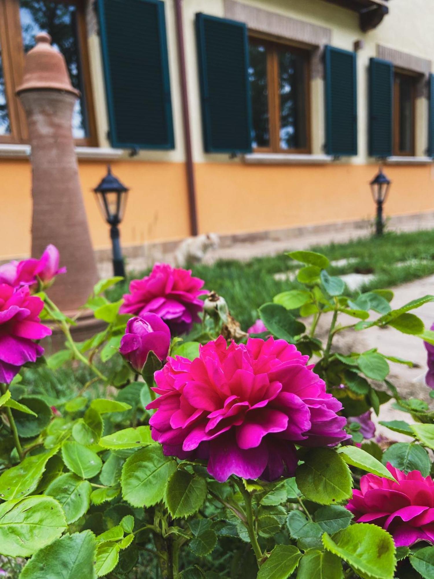 Tadina Farm stay